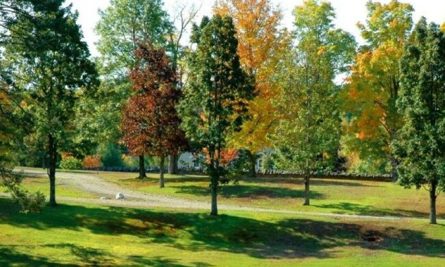 На Полтавщине установили "зеленый рекорд"