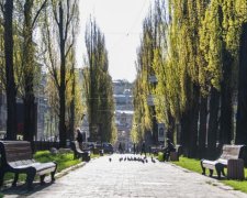 Погода в начале недели подарит хорошее настроение украинцам