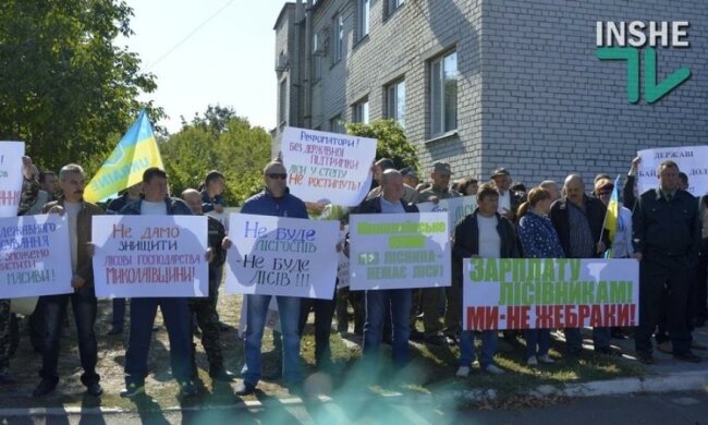 Вимагають і погрожують: миколаївські лісничі звернулися до президента