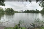 Городское озеро оказалось источником заразы, дети и взрослые покрылись сыпью