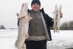 У Тернополі рибалка виловив зубастого монстра, юшки - на всю зиму: 7 кілограмів!