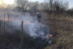 Скрін, відео YouTube