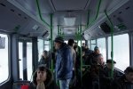 Перейшов усі рамки: українці вимагають звільнення нахабного маршрутника