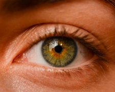 Американцы нашли способ полностью вылечить слепоту, но какой ценой… 
