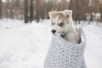 В Украине морозы не отступают/ фото ua.depositphotos.com