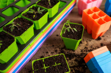 Розсада, зображення з вільних джерел