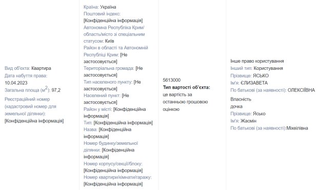Деларкація Лізи Ясько / фото: знімок екрану Єдиного реєстру декларацій