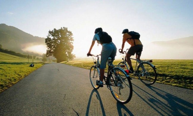 Гірші за тарганів: водії повстали проти велосипедистів