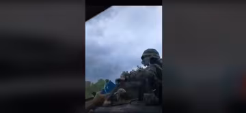 Волонтеры, скриншот: TikTok