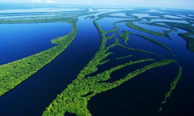 Уникальной природе Амазонки предрекают страшный конец