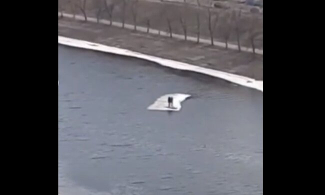 Скрін, відео YouTube