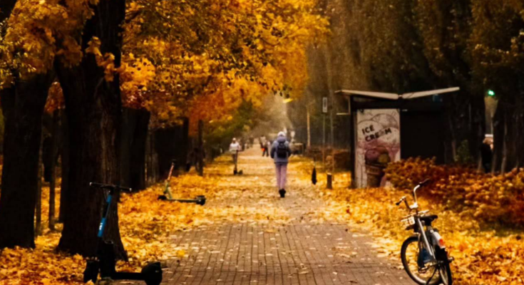 Украинцы, осень, фото из соцсетей