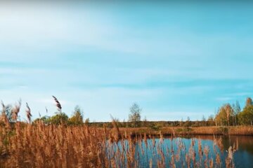 Прогноз погоди, скріншот з відео