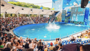 Дельфинарий