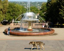 Луганскую "элиту" метко проиллюстрировали одним фото