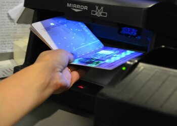 Загранпаспорт, Гордон