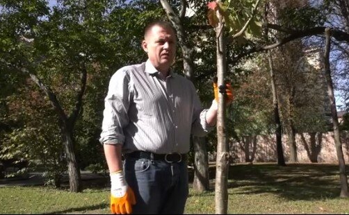Філатов, скріншот з відео