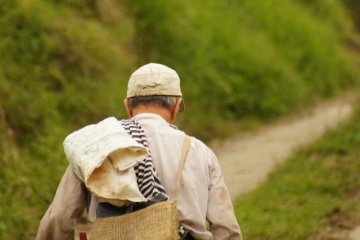 Борис и Глеб Сеятели 15 мая: история и традиции христиан
