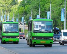 Операція "Перевізник": поліція піймала чергового п'яного маршрутника