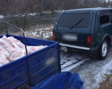У зоні АТО виявили "золотий канал" контрабанди