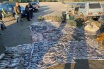 незаконний вилов риби