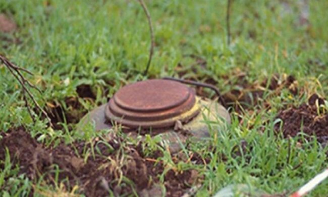 Пенсионерка подорвалась на мине на Луганщине