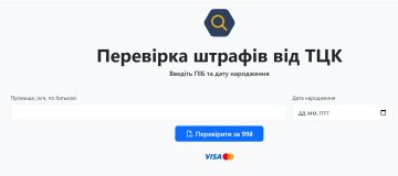 Перевірка штрафів від ТЦК. Фото: скрін opendatabot