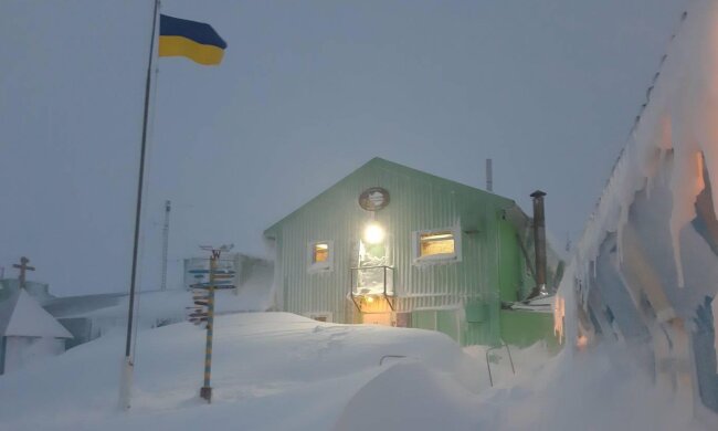 "Антарктическая весна", фото - https://www.facebook.com/AntarcticCenter/