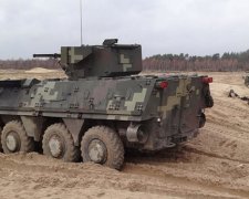 Українські десантники провели навчання на Житомирщині (фото)