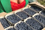Никитюк превратилась в "заробитчанку", такого не видел даже Притула: "И не жалуюсь!"