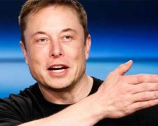 Tesla створила унікальні дошки для серфінгу