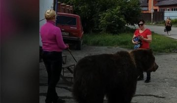 Женщина выгуляла медведя на  автомойке