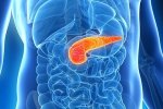 Ученые создали электронную поджелудочную железу