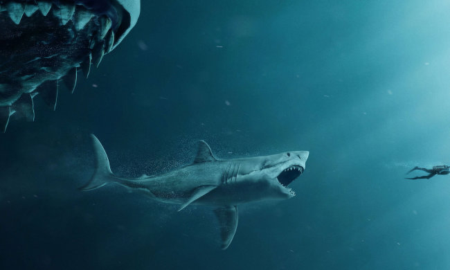 Вчені заговорили про лютого хижака у морських глибинах: бояться навіть білі акули