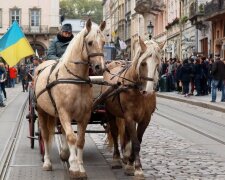 Во Львове обезумевшие кони снесли скамейку с людьми, ребенок в реанимации: горожане поставили Садовому жесткий ультиматум