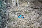 Фото: "Україна в шоці"