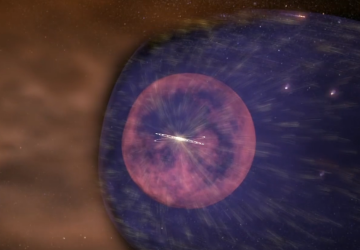 Звезда HD 61005