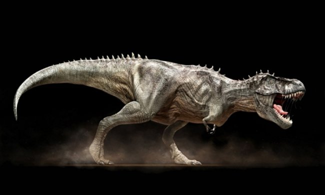 Археологи виявили ембріони динозаврів