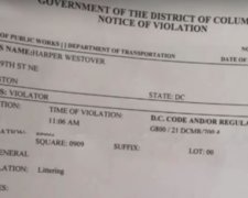 Дворічну американку оштрафували на 75 доларів (відео)