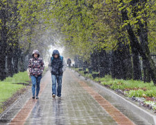 сніг на зеленому листі