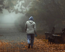 Українці, осінь, туман, фото із соцмереж