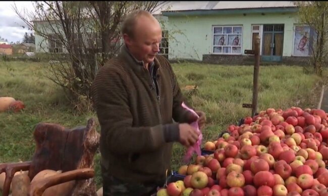 фермер / скриншот из видео