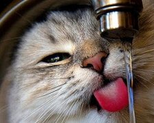 Експерти розповіли, як менше платити за воду