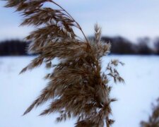 Стихия подмочит настроение франковцам 15 февраля, без зонтика не обойтись