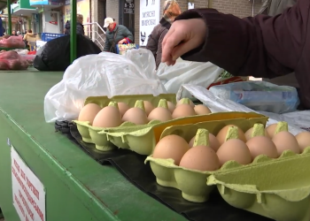 Цены на яйца. Фото: скрин youtube