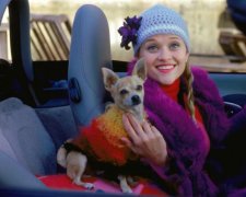 12 веских причин завести лучшего друга человека