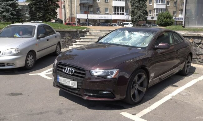 Автомобиль, жара: фото скрин Ютуб