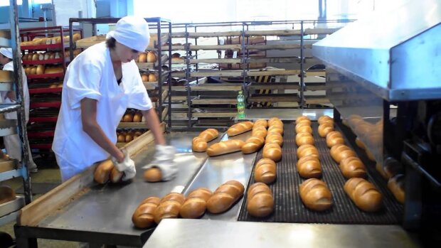 Для українських шкіл та садочків закуповують "золотий" хліб: за житній викладають 57 грн, пшеничний - 68 грн