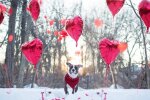 Закохане сонце розцілує Запоріжжя 14 лютого