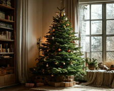 Ялинка, Новий рік, фото з вільних джерел